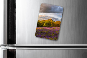 To buy a print or any of the below please click on the images